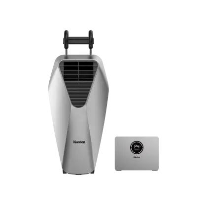 Intelligent Swim Jet X Series
