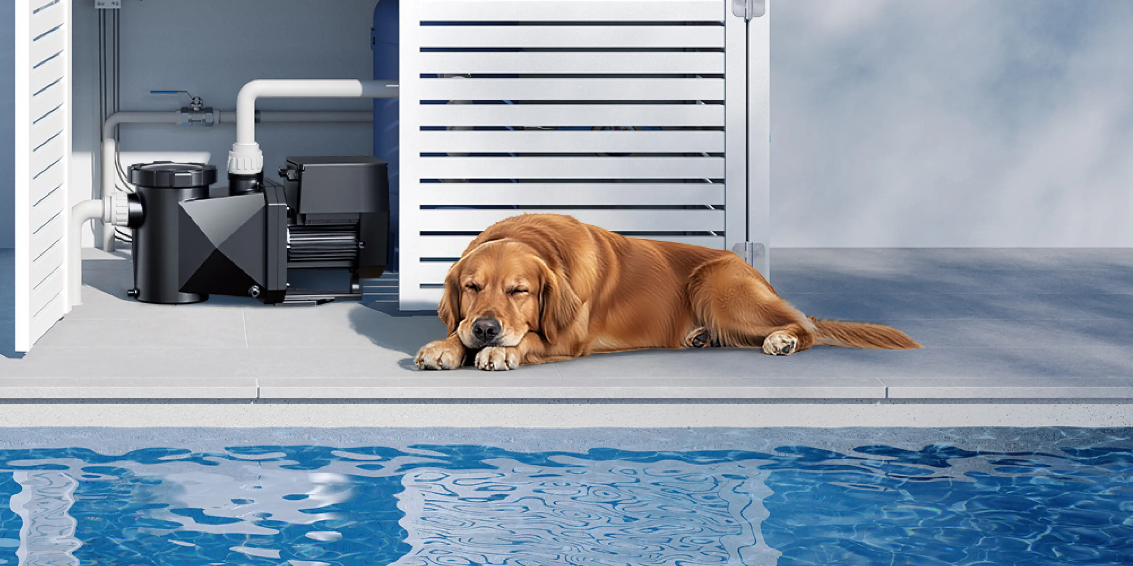 Golden retriever sleeping undisturbed beside an installed iGarden P Series pool pump in a pool equipment enclosure — quiet power at only 36 dBA